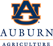 Auburn University
