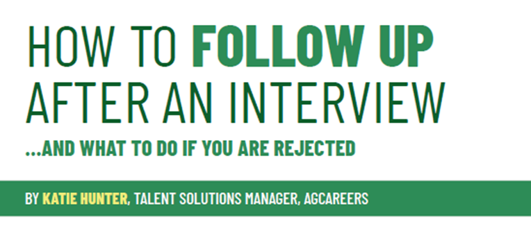 How to Follow Up After an Interview and What to do if Rejected 