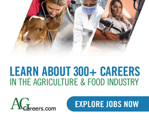 Banner Desktop 1a - Top Nav JS