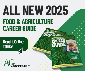 Banner Desktop 1a - Top Nav JS