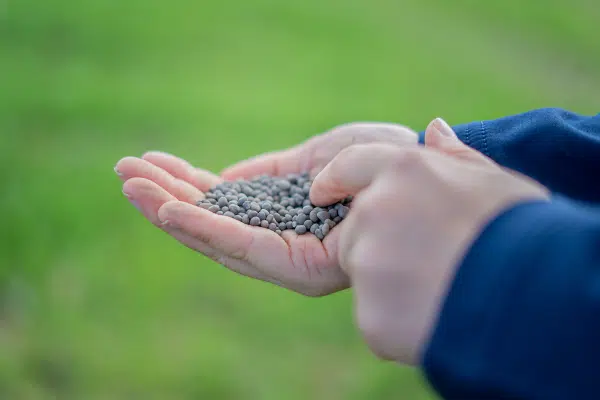 Hands holding a small pile of soil