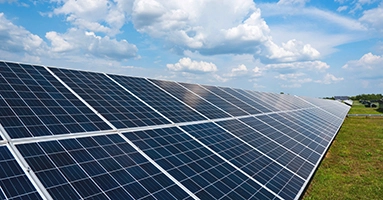 Environmental Services Pathway