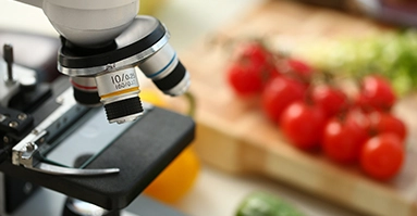 Food Science Pathway