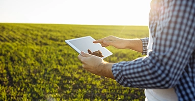 Plant Science Pathway